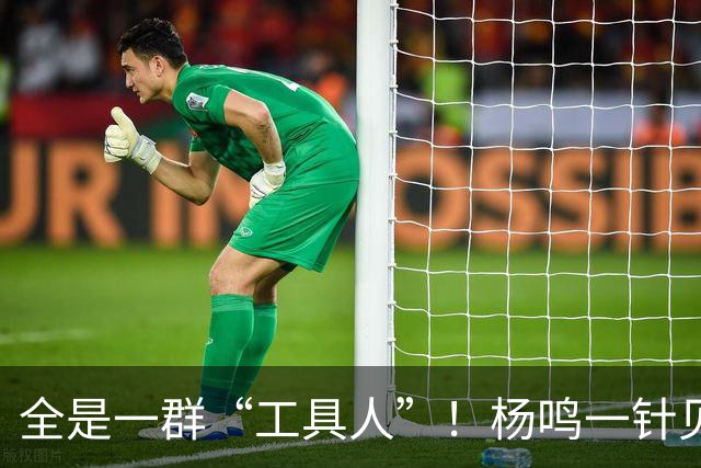 全是一群“工具人”！杨鸣一针见血：中国男篮凭什么赢日本？