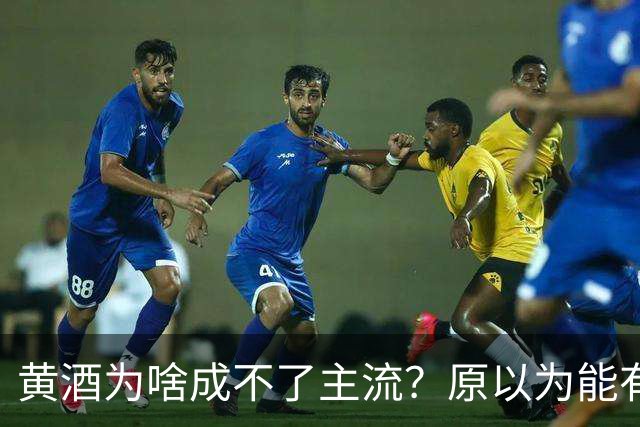 黄酒为啥成不了主流？原以为能有共鸣，谁料评论一边倒